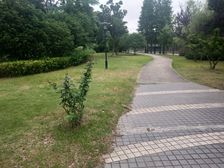 品质小区,繁华地段,刚需好房,装修齐全