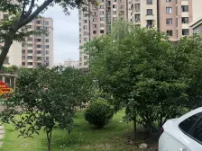 2012年小区,花园旁,大面积,全明!