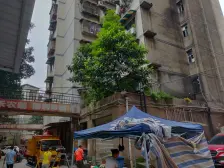 石坪桥转盘近轨道邻杨家坪商圈精品跃层 急售