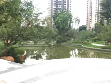 铂爵郡一期 4室1厅 西南