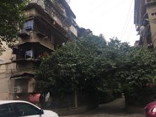 川剧团宿舍2室1厅东南