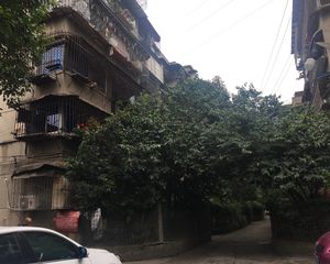 川剧团宿舍2室1厅东南