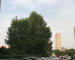 此房是满五年家庭名下唯一住房,单位家属楼,管理好