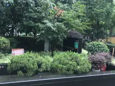 圣天地服务式公寓 1室1厅 西