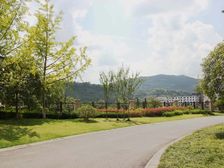 恒大·雍河湾 1室0厅 南