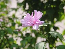 西外雍河湾精装三房,配套成熟,出行方便,户型方正