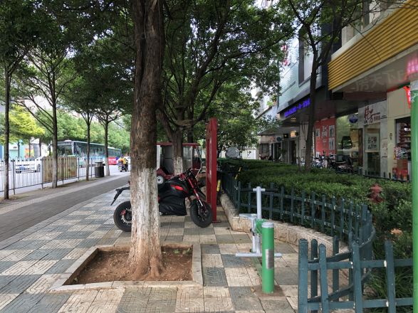 凤翥园实景图