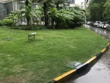 苏州河畔的小高层 两梯两户 正看小区绿化