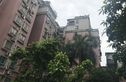 大鹏花园实景图
