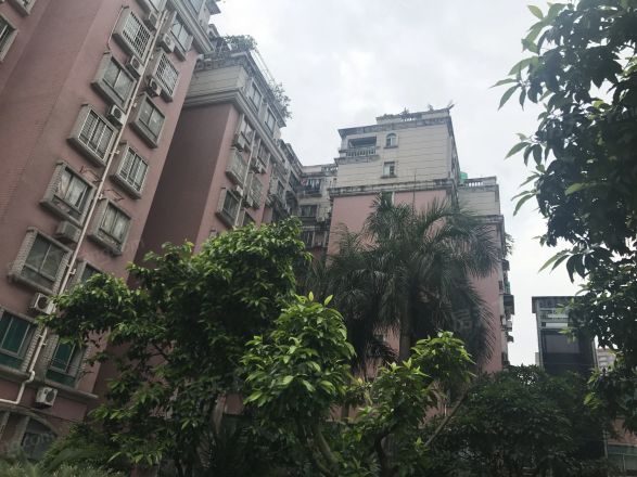 大鹏花园实景图