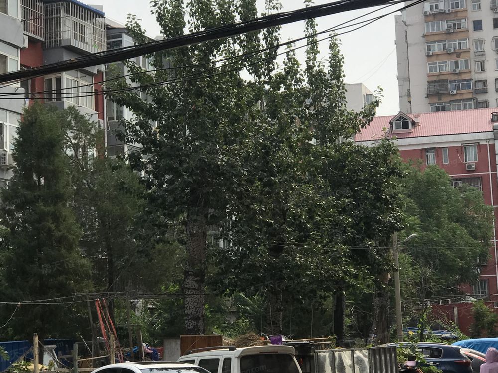 小区相关图