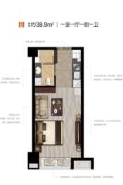 海信天辰九号1室1厅1厨1卫建面38.00㎡