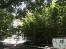 诚售.双星海!朝南一房.70年产权