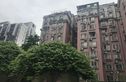 大鹏花园实景图
