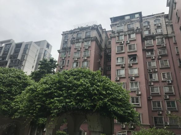 大鹏花园实景图