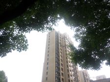 中璟苑99平三房两厅一厨一卫房东诚心出售