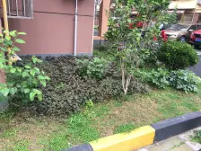 近虹桥 +地铁口,低总价一房,房型好,诚意出售