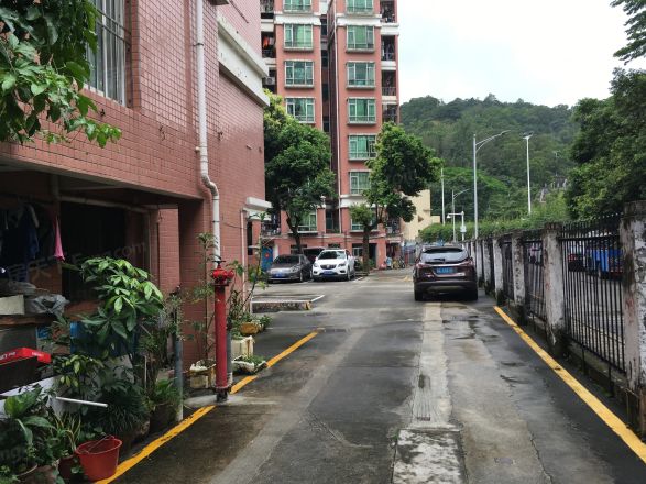 梧桐苑实景图