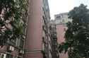 大鹏花园实景图