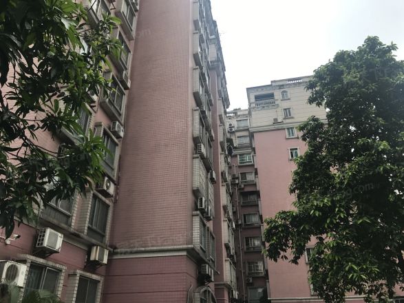 大鹏花园实景图