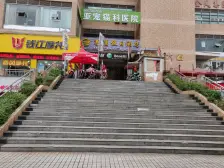 石坪桥 大公馆九龙大厦三房