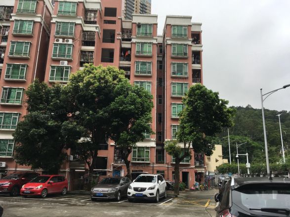 梧桐苑实景图