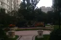 中天九溪诚品实景图