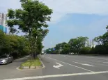 周边马路实景