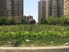 国茂·绿都皇城 1室1厅 南