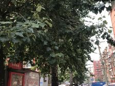 三环边横一条小区,东向两居,商品房诚心出售