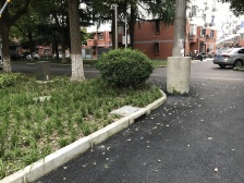 荣乐小区 2室1厅 南