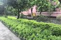 大鹏花园实景图