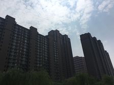 房主诚心卖,采光通风好,房主格局好,无浪费面积