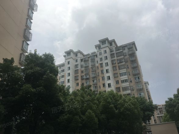 爱博七村实景图