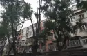 陶瓷厂宿舍实景图