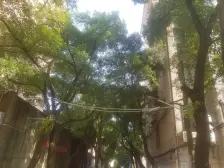 阳明路122号儿童医院宿舍 南北通透,采光好 装修好,环镜优美 近地铁 视野好,诚心出售