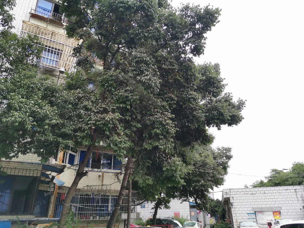 小区相关图