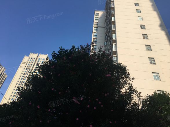 一品嘉庭实景图