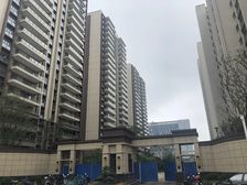 碧桂园时代悦城3室2厅南