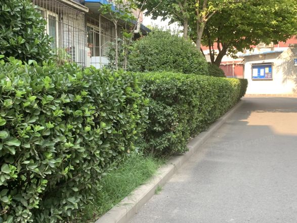 小营西路25号院实景图