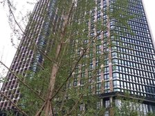 中国华商金融中心1室2厅北