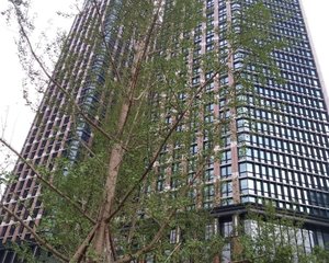 中国华商金融中心2室1厅南