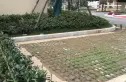 保利朗诗蔚蓝实景图