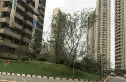 保利朗诗蔚蓝实景图