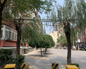 洋桥海户西里31号院,正规南北两居室,诚心卖