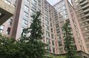 大西洋新城E区实景图