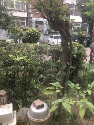 双拥大院实景图