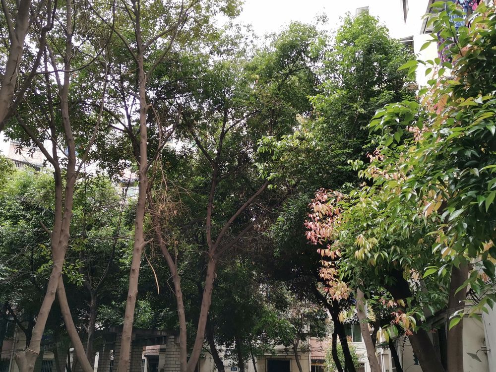 小区相关图