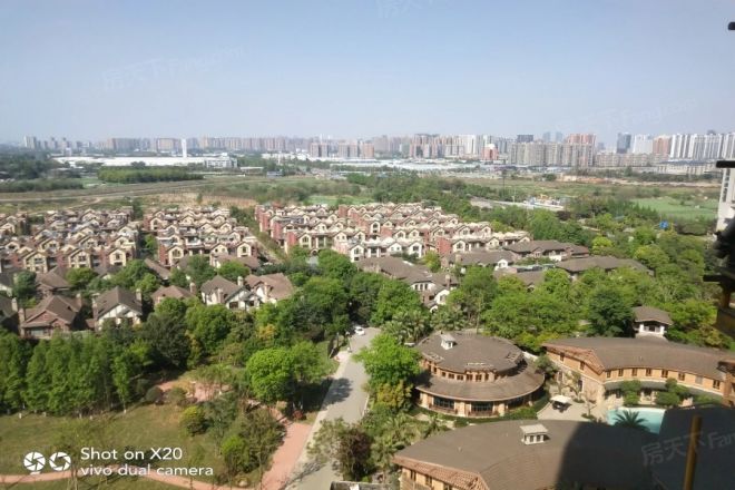 棠湖泊林城别墅实景图
