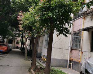 静园(龙泉驿)3室2厅东南